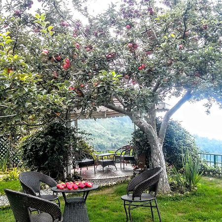 The Swiss Village Resort 나이니탈 외부 사진