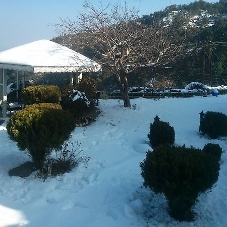 The Swiss Village Resort 나이니탈 외부 사진