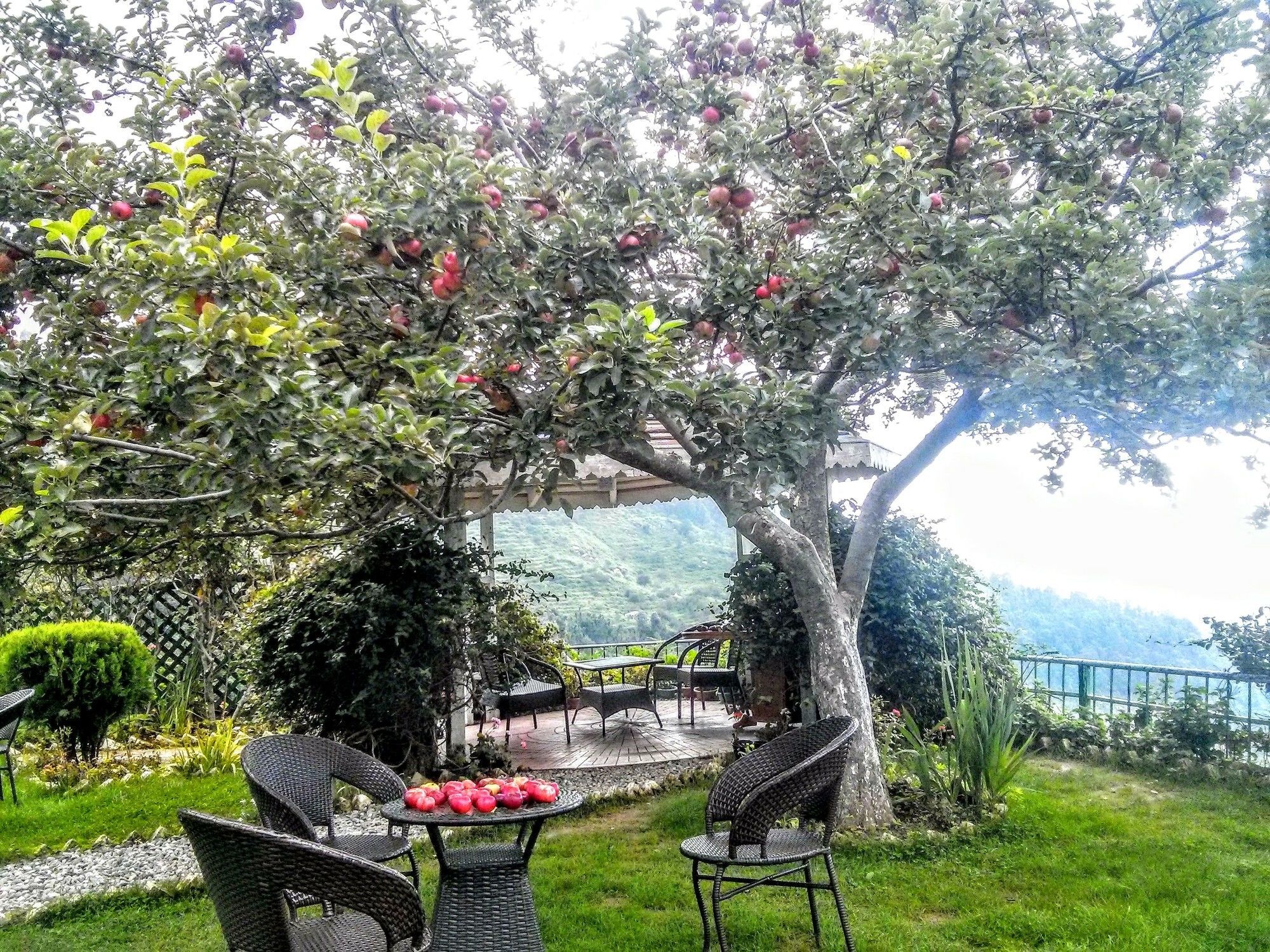 The Swiss Village Resort 나이니탈 외부 사진