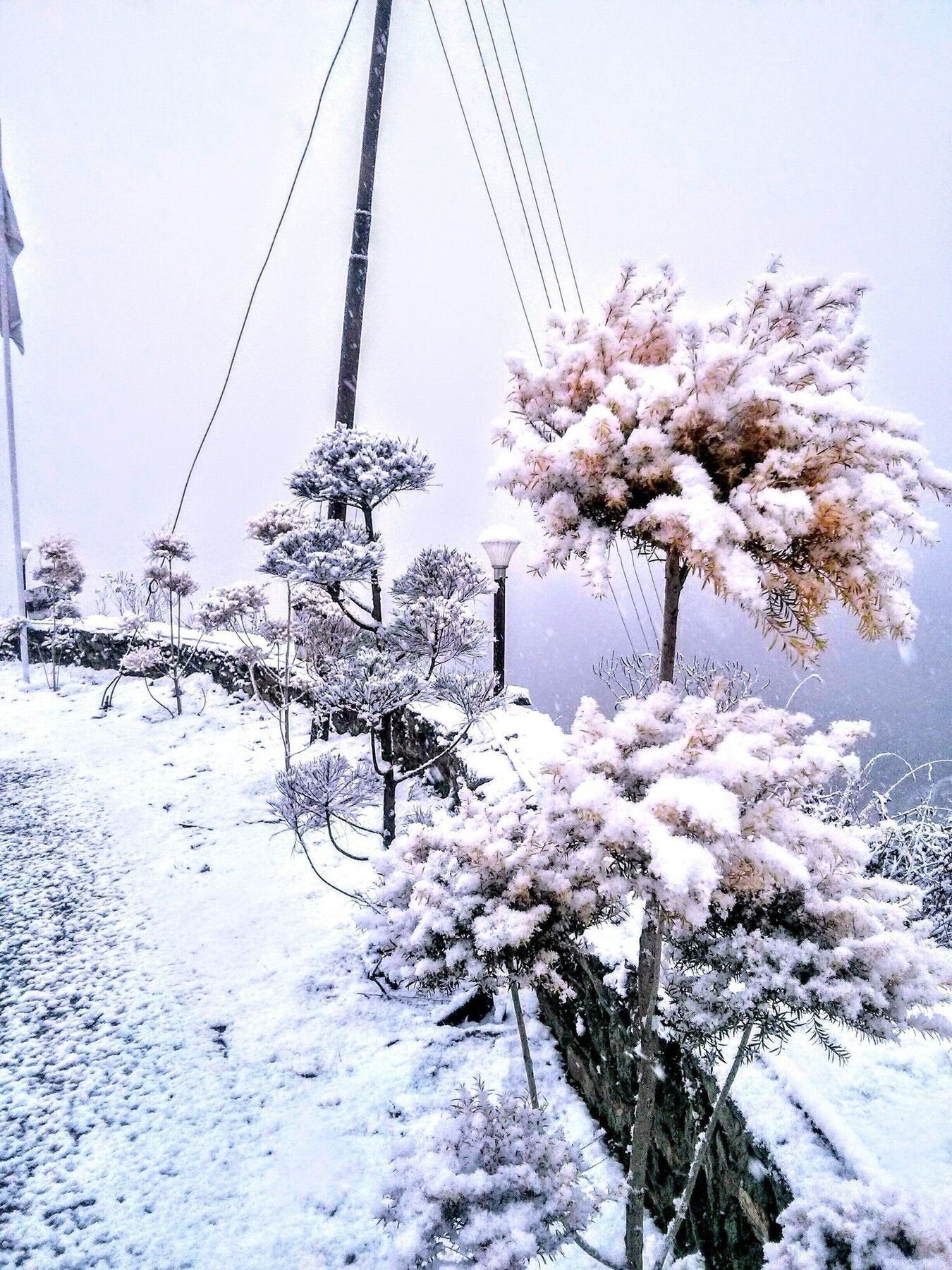 The Swiss Village Resort 나이니탈 외부 사진